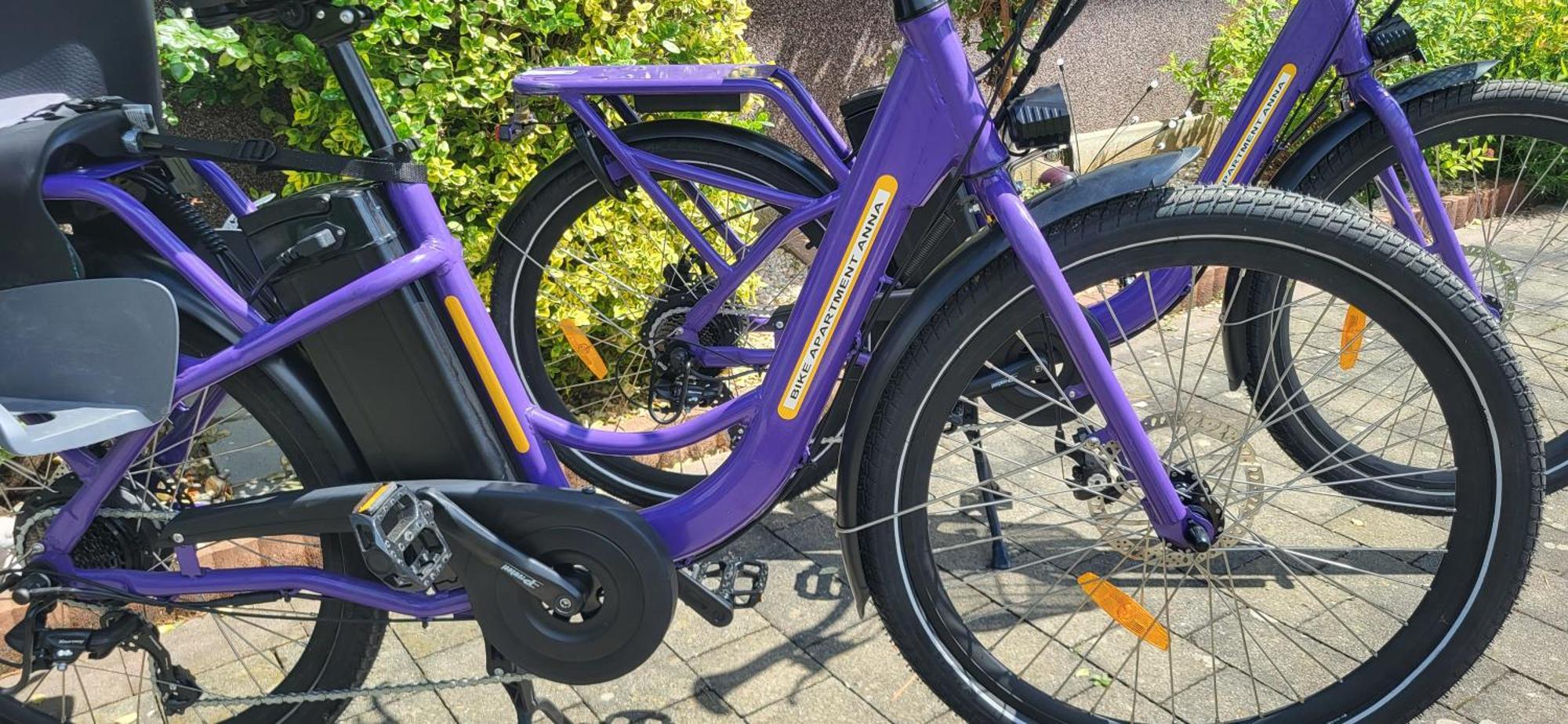 Zwei Schlafzimmer Ferienapartment Anna Am Stubenbergsee Inklusive Vier E-Bikes Exterior foto